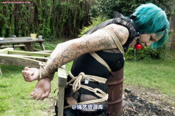 limitedaudience - 2009 b captive pixie 第 27 张图片