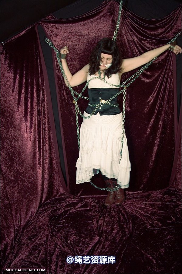limitedaudience - 2008 veriddian chains on velvet 第 27 张图片