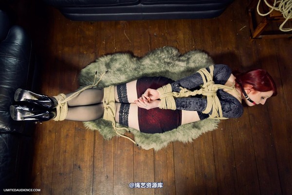 limitedaudience - 2012 syrah lee hogtied 第 31 张图片