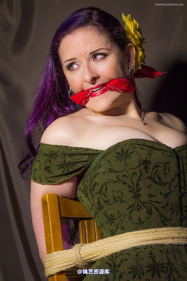 limitedaudience - 2014 caroline pierce captured damsel 2 第 8 张图片