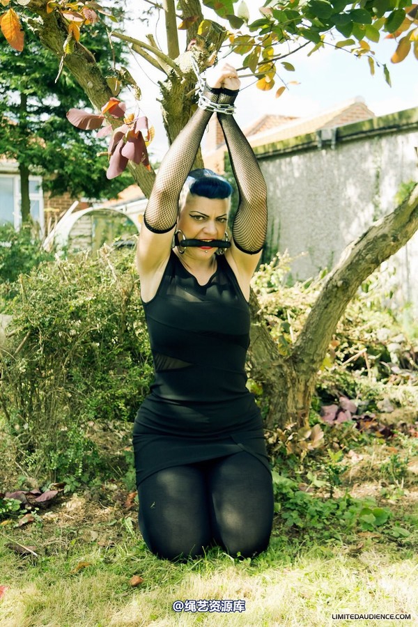 limitedaudience - 2012 raevan tied and tamed 第 30 张图片