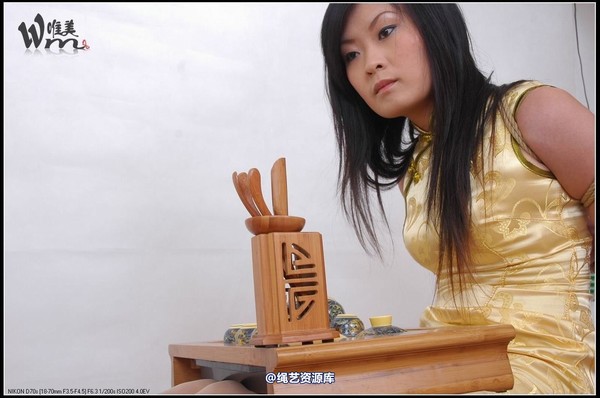 唯美之家 - 2008-11-11琪琪旗袍五花 第 28 张图片