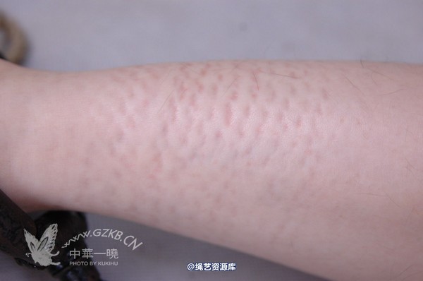 中华一晓 - 中华一晓 NO.0118 第 54 张图片