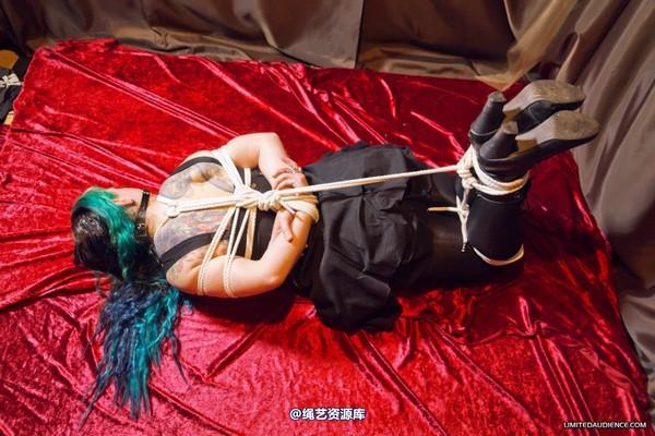 limitedaudience - 2012 raevan hogtied 2 第 23 张图片
