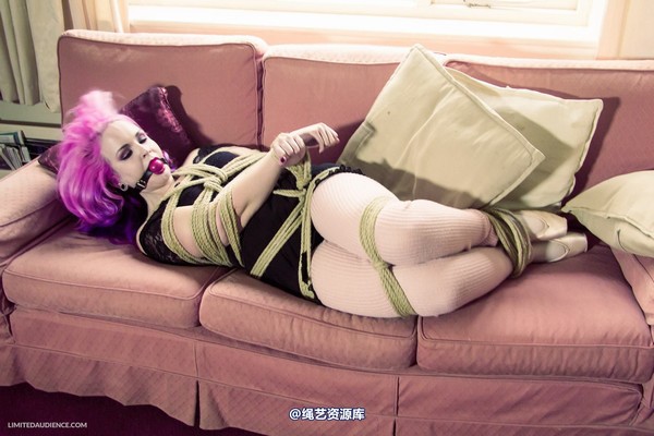 limitedaudience - 2013 assisted suicide interrupted ballet practice 3 第 32 张图片
