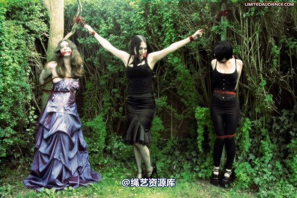 limitedaudience - 2009 catya elyssia lolly pleasure reserves 2 第 31 张图片