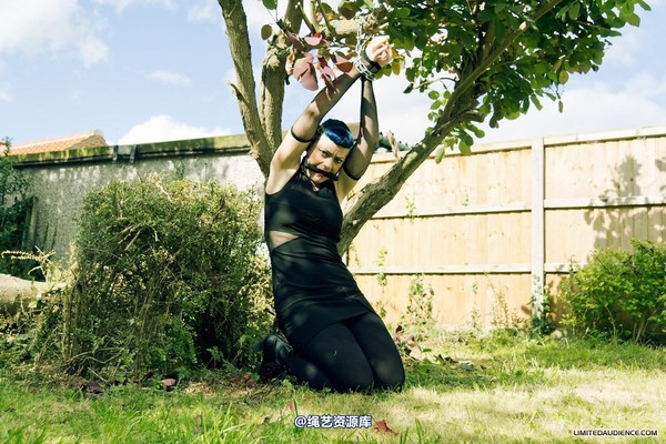 limitedaudience - 2012 raevan tied and tamed 第 6 张图片