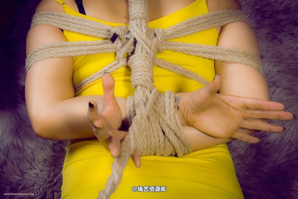 limitedaudience - 2013 elle hogtie tamed 第 28 张图片
