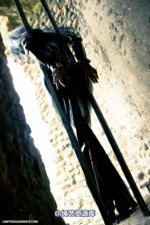 limitedaudience - 2008 andromedax damsel in distress 第 39 张图片