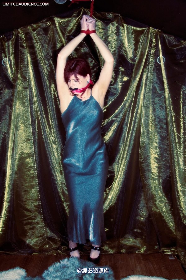 limitedaudience - 2010 scarlett captured countess 第 2 张图片