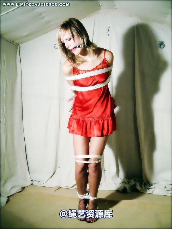 limitedaudience - 2007 ariel gradual restraints 第 37 张图片
