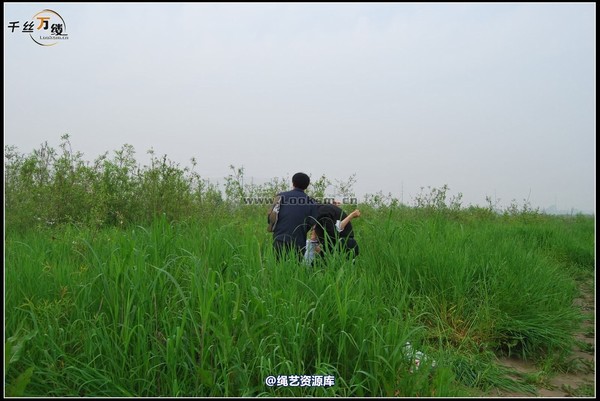 千丝万缕 - 2008-04-06日照片 第 52 张图片