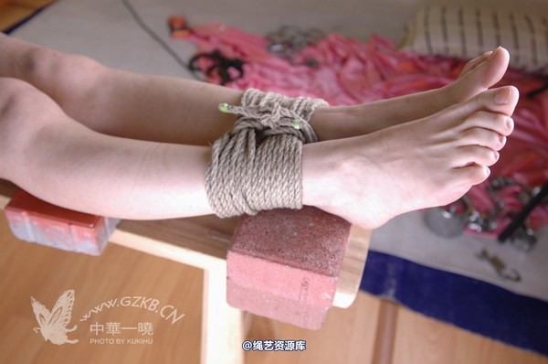 中华一晓 - 中华一晓 NO.0204 第 162 张图片