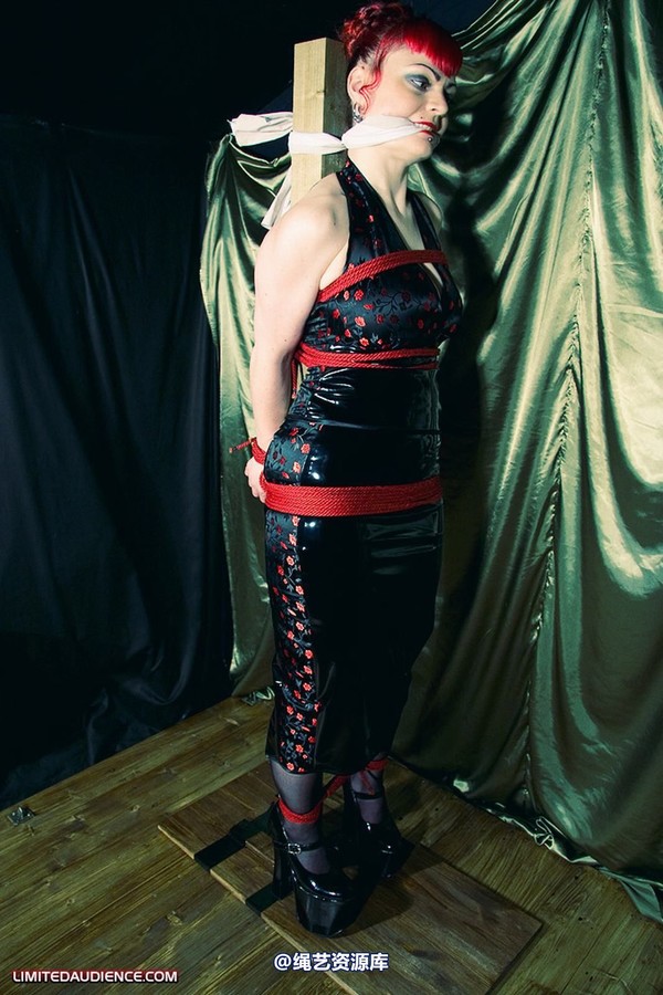 limitedaudience - 2009 raevan postbound 第 26 张图片
