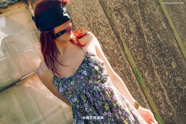 limitedaudience - 2013 scarlett blindfolded walk 第 9 张图片