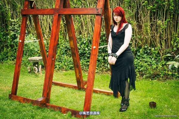 limitedaudience - 2012 syrah lee by the cross 第 3 张图片