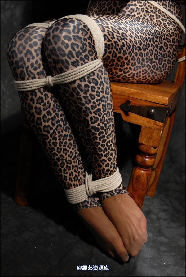 simplytied - Leopard cat 第 41 张图片