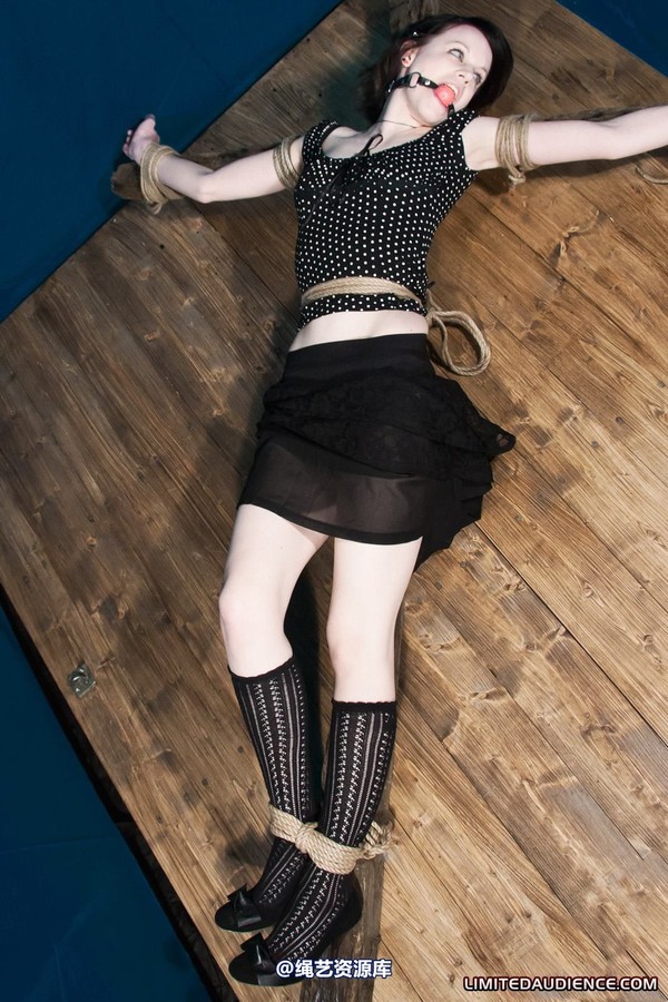 limitedaudience - 2011 luisa helpless to resist 3 第 9 张图片