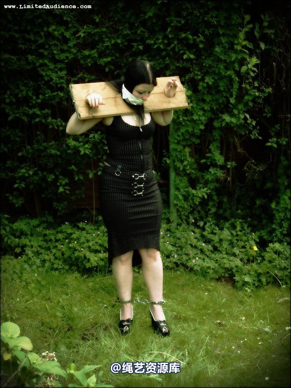 limitedaudience - 2007 asphyxia silenced secretary 第 7 张图片