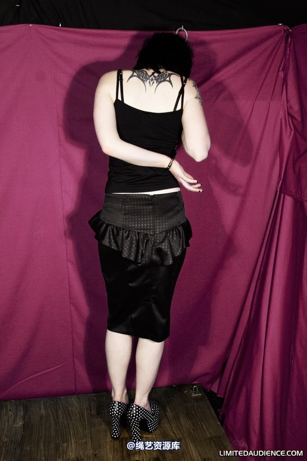 limitedaudience - 2010 jenvy display model 第 14 张图片