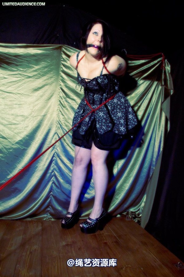 limitedaudience - 2009 deception a painful wait 2 第 24 张图片