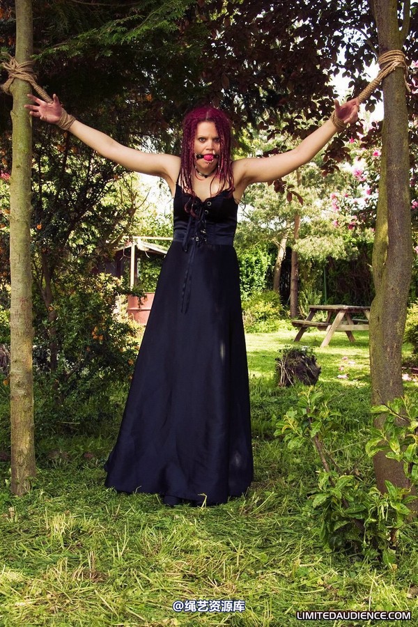limitedaudience - 2010 beckykat between trees 第 4 张图片