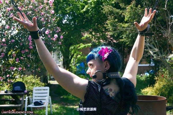 limitedaudience - 2011 raevan punished 2 第 19 张图片