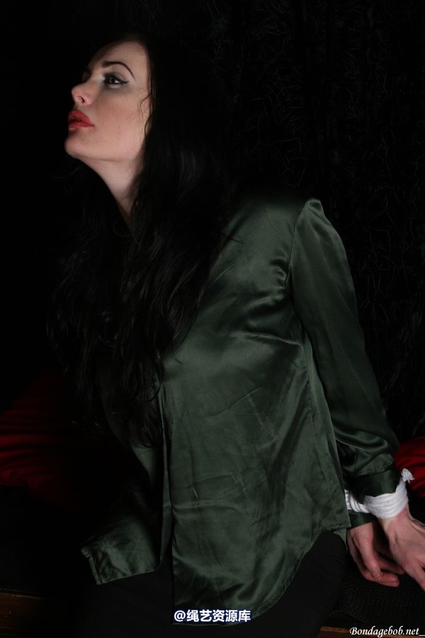 bondagebob - Morrigan Strung up in the dark 第 18 张图片