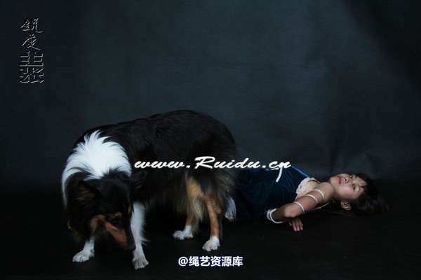 锐度主张 - 泡泡、茜茜、喜鹊沁蓝绳肆 第 303 张图片