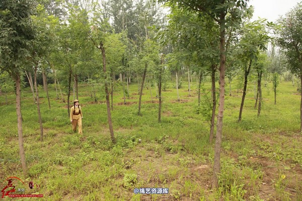 红豆的天空 - 一组解放军装的拍摄花絮 第 24 张图片