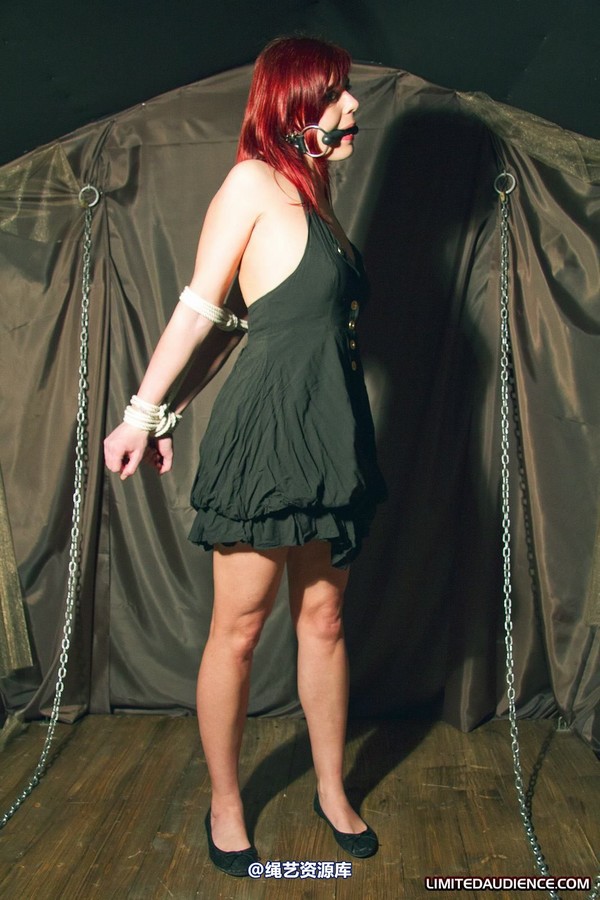 limitedaudience - 2011 scarlett bound and imprisoned 第 25 张图片