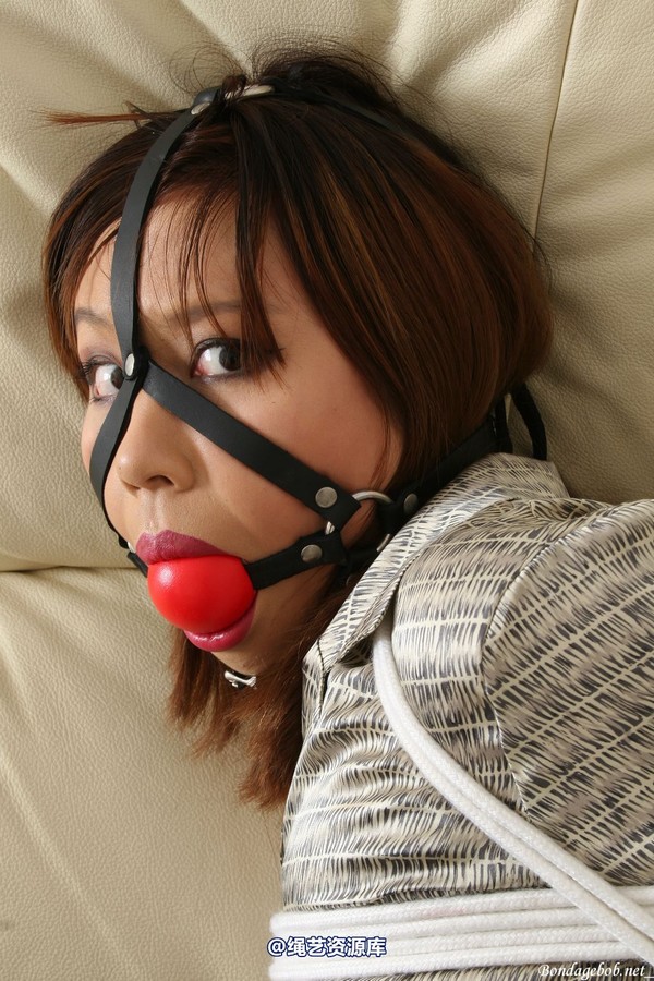 bondagebob - Tigerr Harness Ball gag 第 79 张图片