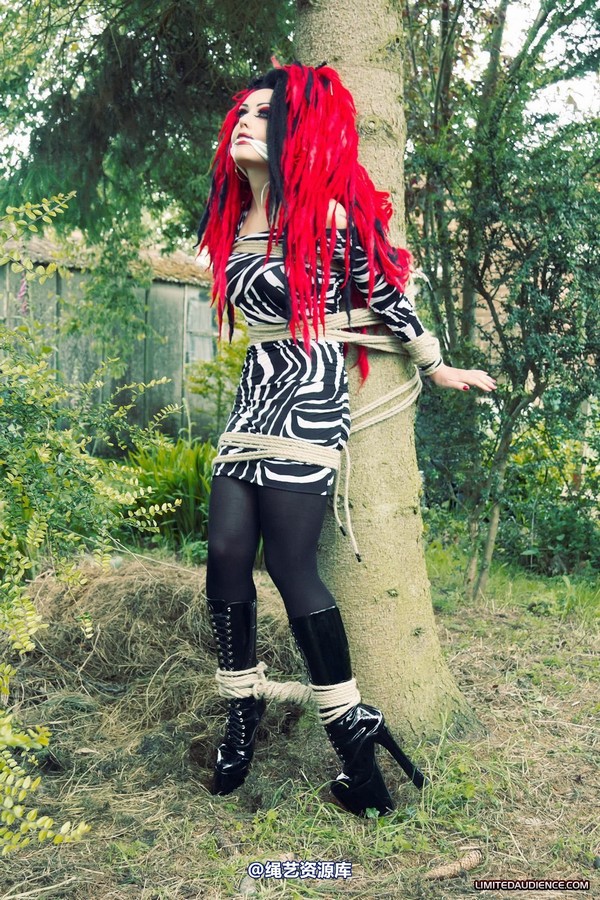 limitedaudience - 2012 andromedax bound to a tree 2 第 7 张图片