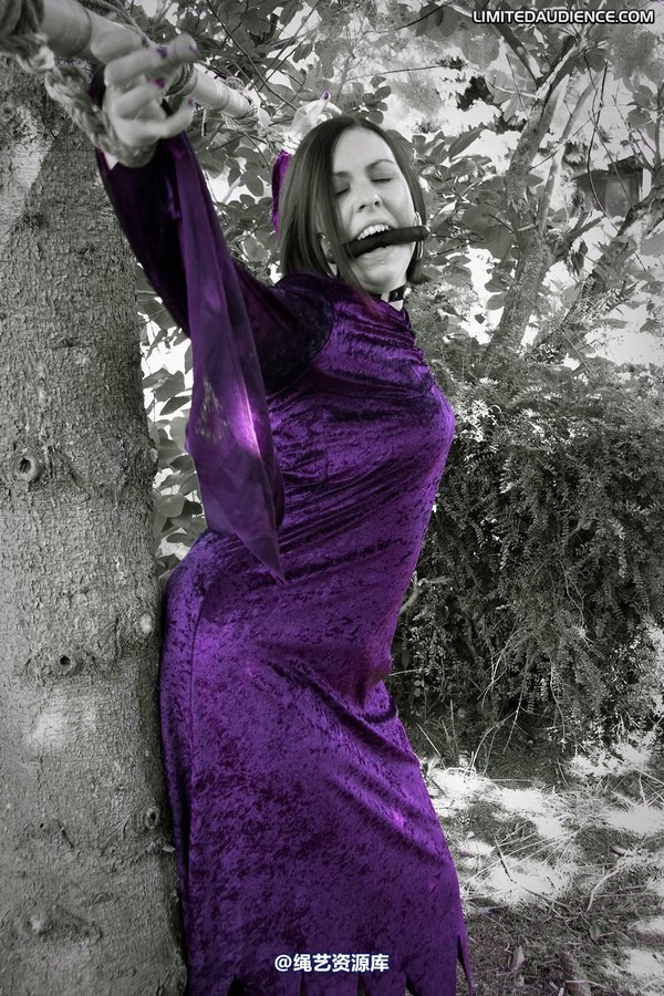limitedaudience - 2011 carmina unwilling offering 2 第 4 张图片