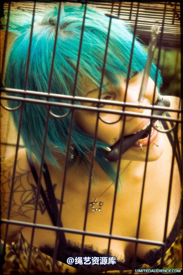limitedaudience - 2009 b caged animal 第 10 张图片