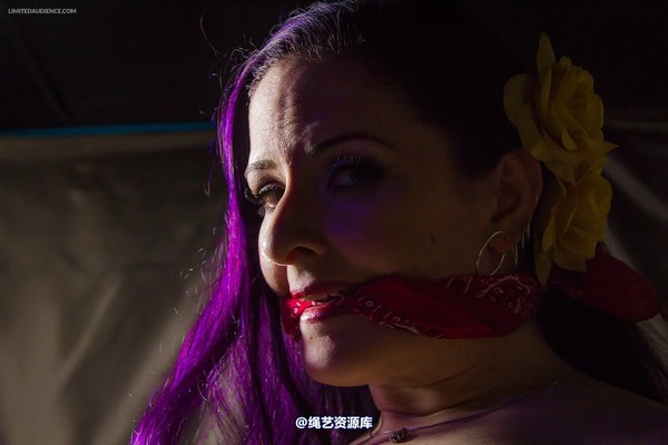 limitedaudience - 2014 caroline pierce captured damsel 2 第 27 张图片