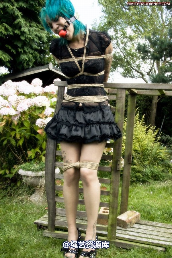 limitedaudience - 2009 b captive pixie 2 第 2 张图片