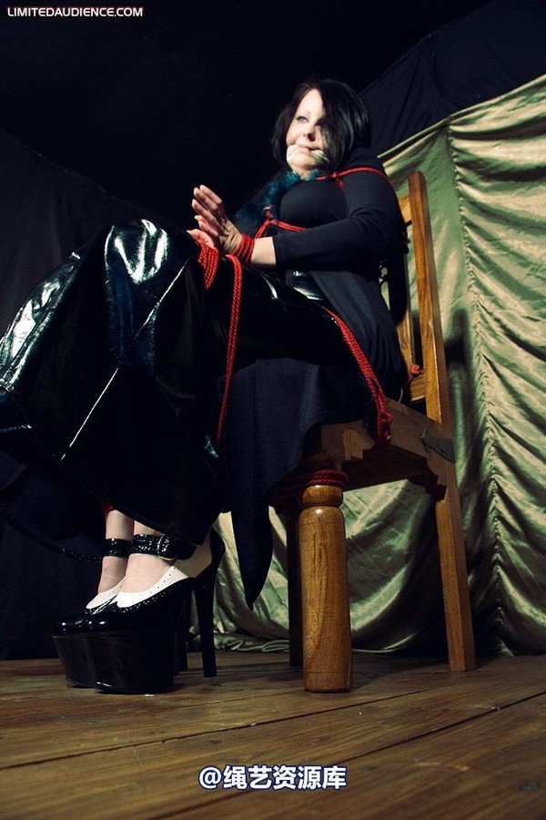 limitedaudience - 2009 deception helpless prisoner 第 27 张图片