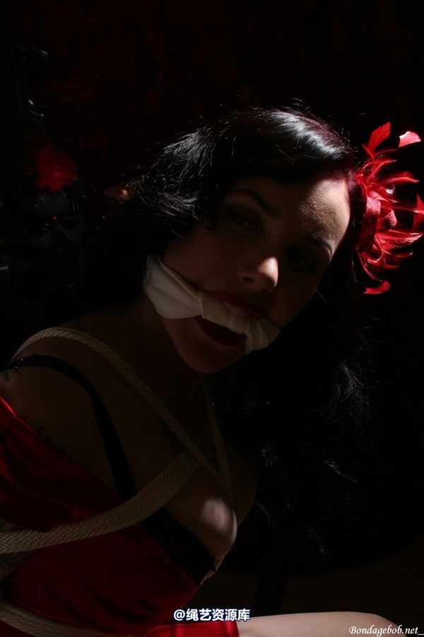 bondagebob - Morrigan Noir 第 127 张图片
