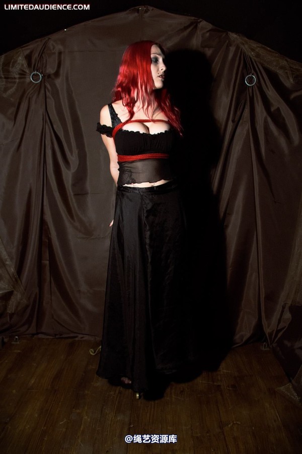limitedaudience - 2010 elyssia bound to a pole 第 32 张图片