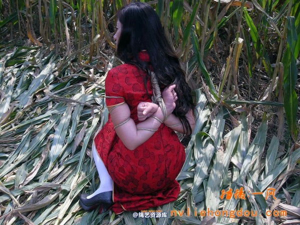 红豆的天空 - 一风大师之作――秋后的季节 第 4 张图片