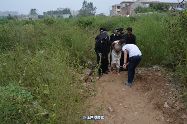 mj影视 - 乱世情仇1 第 186 张图片