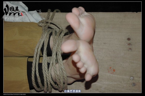 唯美之家 - 2008-12-18军统女特务受刑(剧照) 第 159 张图片