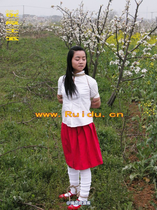 锐度主张 - 婷婷和寒冰梨花林中 第 12 张图片