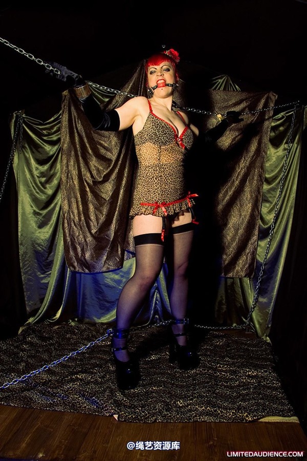 limitedaudience - 2009 raevan captured huntress 第 5 张图片