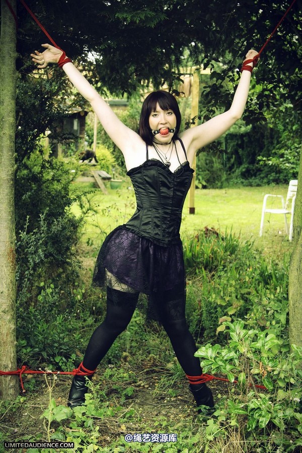 limitedaudience - 2011 syrah lee helpless outdoors 第 38 张图片