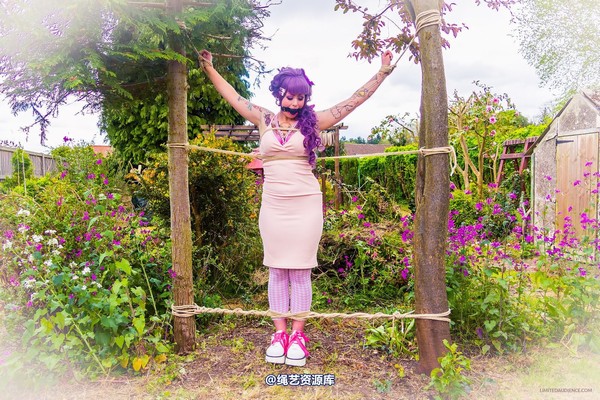 limitedaudience - 2015 kittysocks between trees 第 2 张图片
