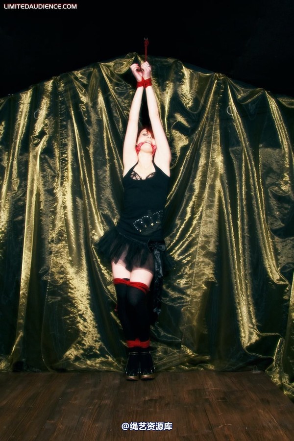 limitedaudience - 2010 madison rouge dangling helplessly 第 3 张图片