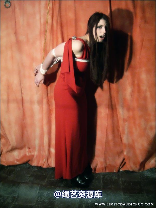 limitedaudience - 2007 ivory a change of plans 第 6 张图片