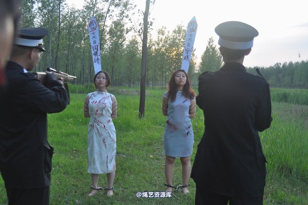 mj影视 - 凤凰烈焰 第 384 张图片